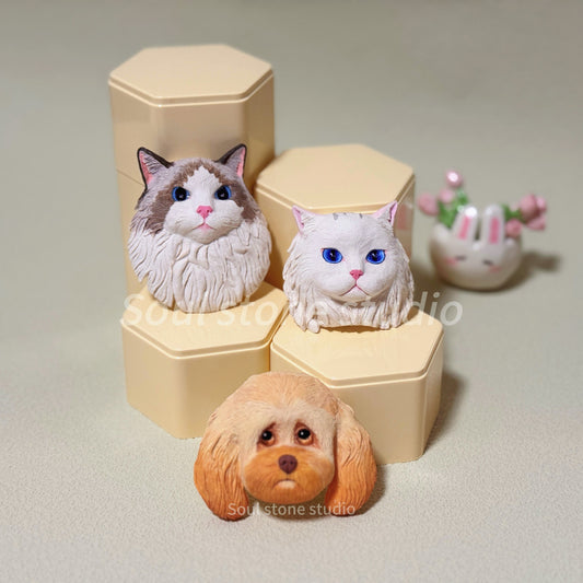 Personalised Realistic Custom Portrait