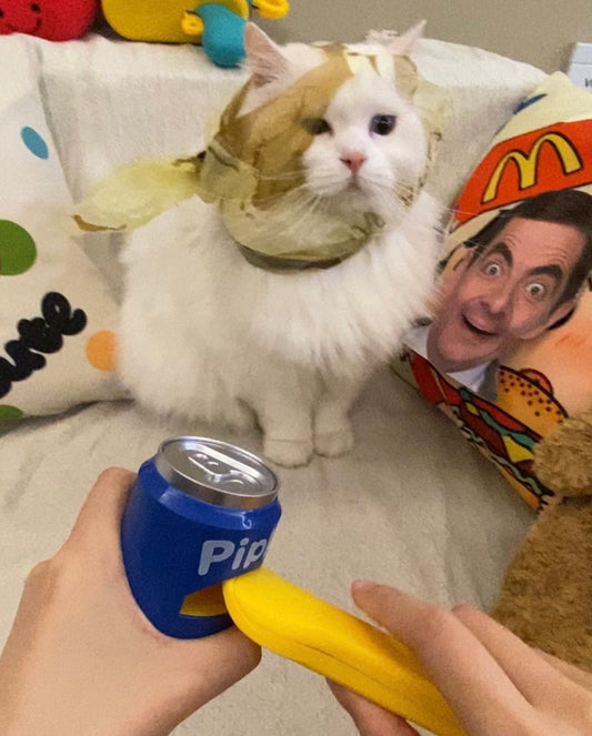 Interactive Simulation Feeder Toy for Pets