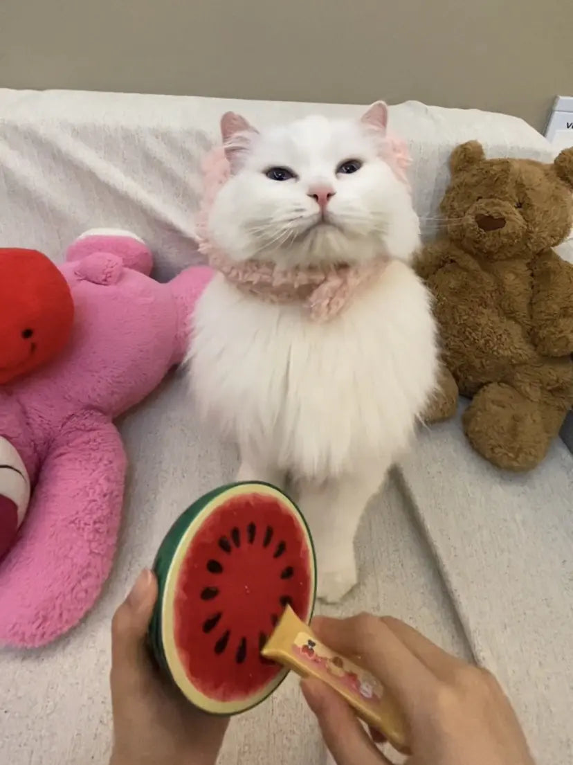 Interactive Simulation Feeder Toy for Pets